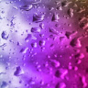 Meet your Posher, Cali